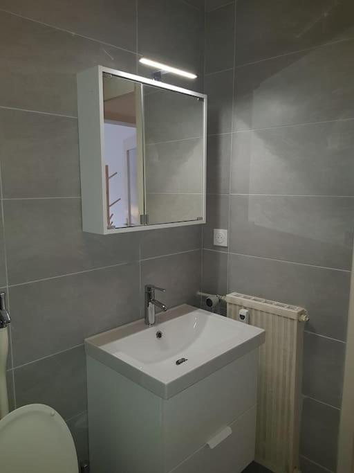Studio De La Petite France Apartment Страсбург Екстериор снимка